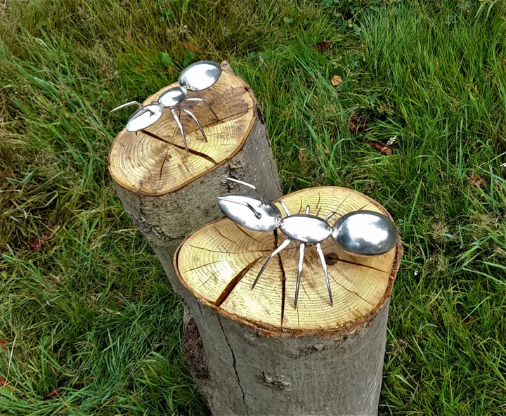 Ameisen