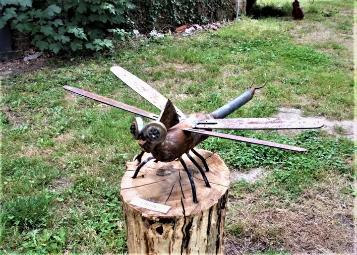 Libelle groß