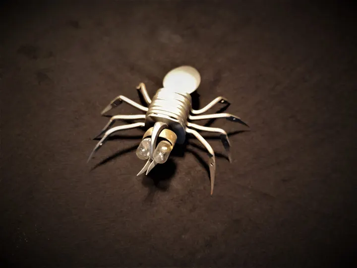 Spinne